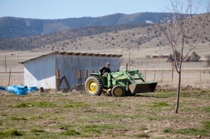 John Tannaci, saving the day on his tractor.