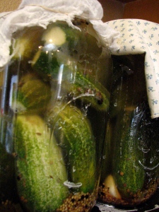 Pickles! 