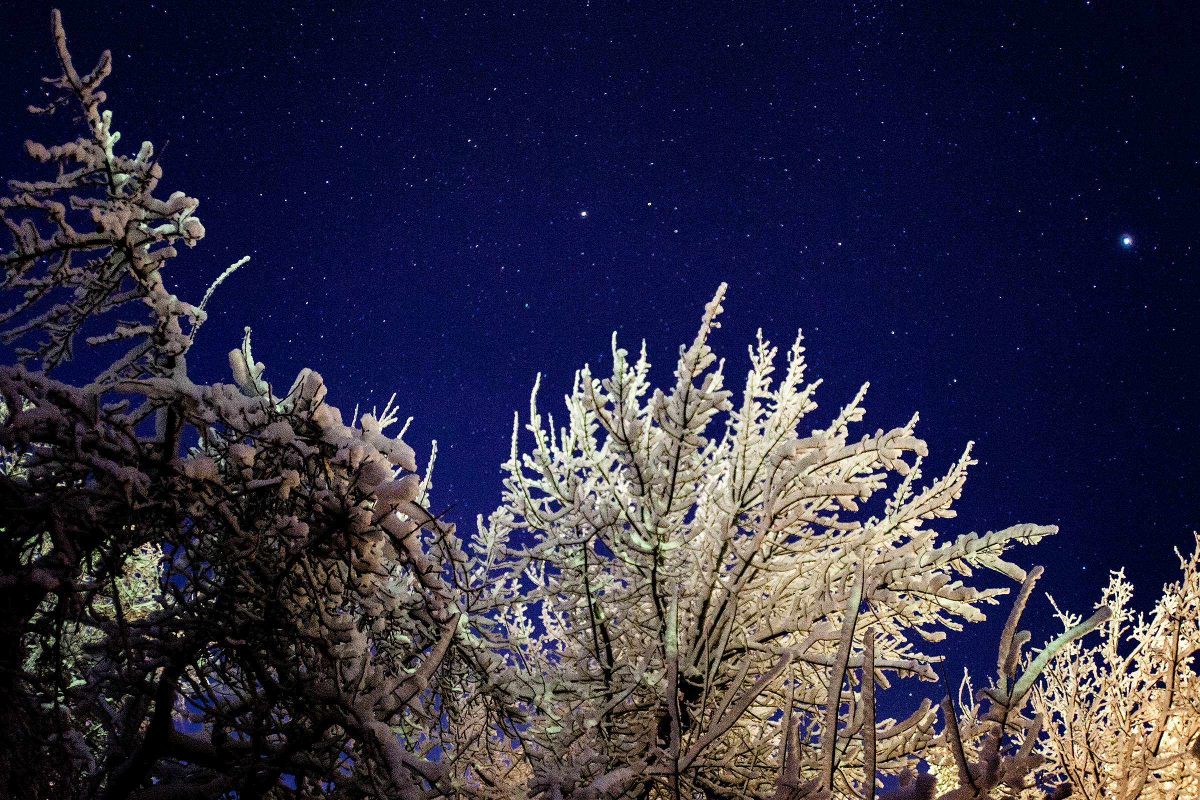 Snow and Stars-1